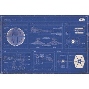 Plakát Star Wars - Imperial Fleet Bl (226)