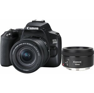 Canon EOS 250D + 18-55mm IS STM + 50mm f/1.8 IS STM - 3454C013
