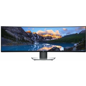 Dell UltraSharp U4919DW - LED monitor 49" - 210-ARGK