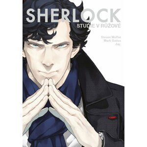 Komiks Sherlock 1: Studie v růžové - 09788074496493