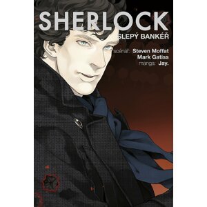 Komiks Sherlock 2: Slepý bankéř - 09788074497070