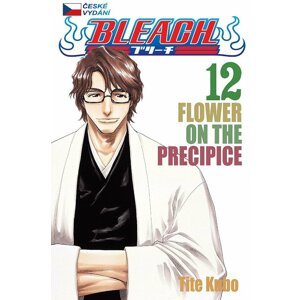 Komiks Bleach - Flower On The Precipice, 12.díl, manga - 09788074492310