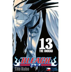 Komiks Bleach - The Undead, 13.díl, manga - 09788074492457