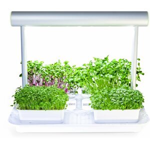Microgreens by Leaf Learn Mini Starter Pack - MLL0132