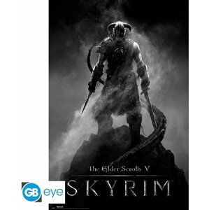 Plakát Skyrim - Dragonborn (91.5x61) - FP4139
