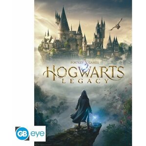 Plakát Harry Potter - Hogwarts Legacy (91.5x61) - GBYDCO338