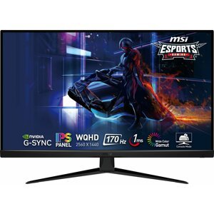 MSI Gaming G321Q - LED monitor 31,5" - G321Q