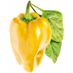 Click and Grow sladká žlutá paprika, kapsle se semínky a substrátem 3ks - SGYS