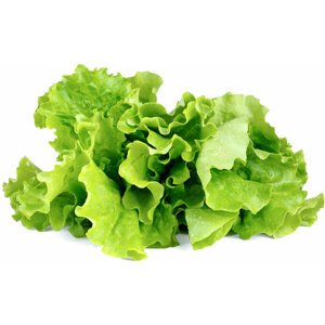 Click and Grow zelený salát, kapsle se semínky a substrátem 3ks - SGLT