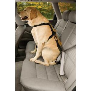 Kurgo Bezpečnostní autopás pro psa s ouškem Seatbelt Tether; BG-KU01187