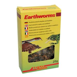 Lucky Reptile Earthworms 10g; FP-67832