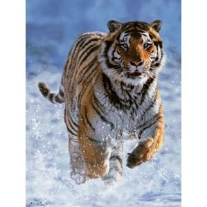RAVENSBURGER Puzzle Tygr ve sněhu 500 dílků; 3002