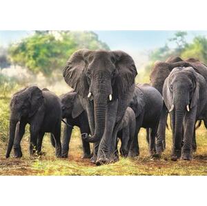 TREFL Puzzle Afričtí sloni 1000 dílků; 118221