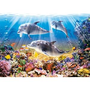 CASTORLAND Puzzle Delfíni 500 dílků; 537