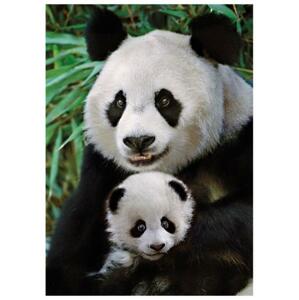DINO Puzzle Panda s mládětem 1000 dílků; 122405