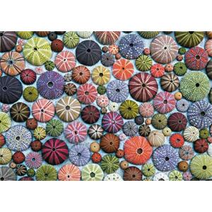 PIATNIK Puzzle Mořští ježci 1000 dílků; 123731