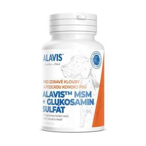 ALAVIS MSM+Glukosamin sulfát tbl.60; 346